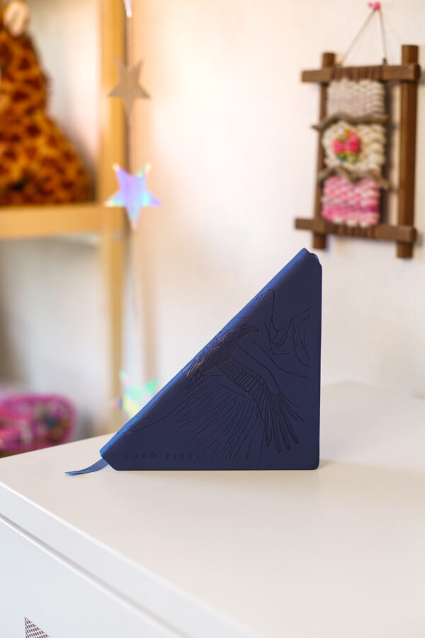 Cuaderno triangular