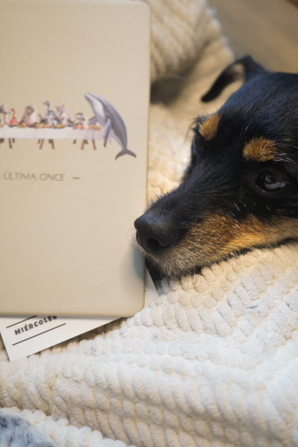 El cuaderno “La Última Once”