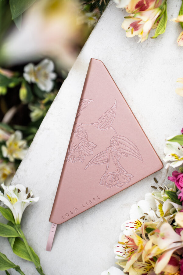 Cuaderno triangular